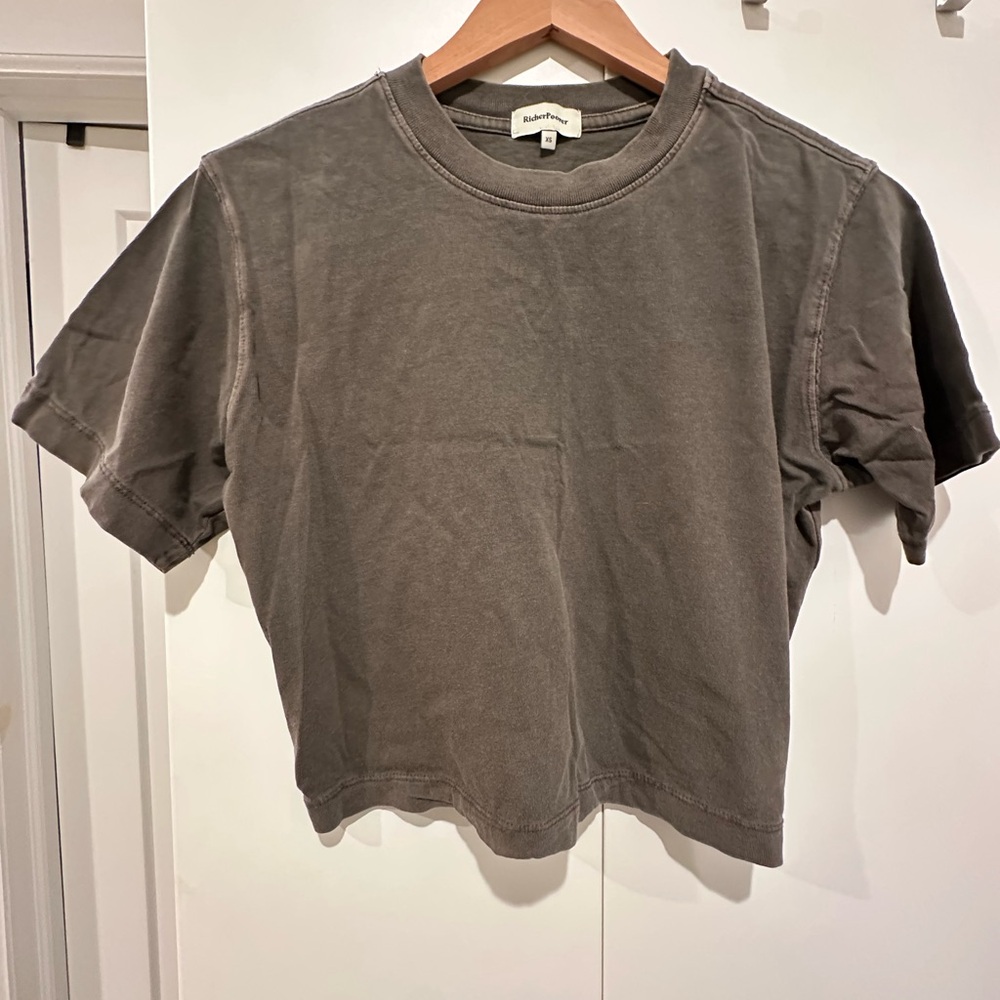 Richer Poorer Gray Crewneck Tee